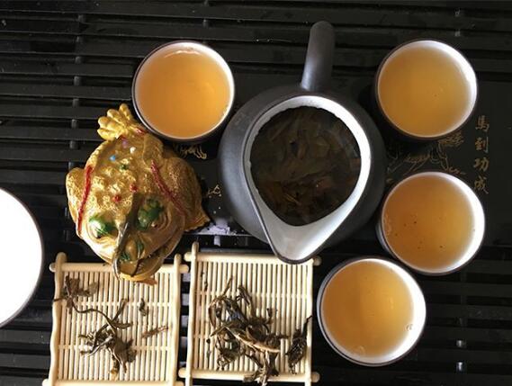 2019茶文化及食品博览会